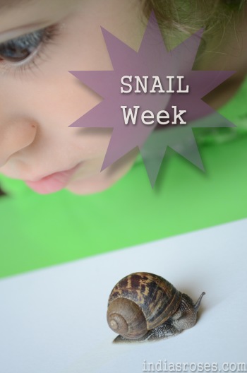 A weeks worth of snail activities for children: indiasroses.com