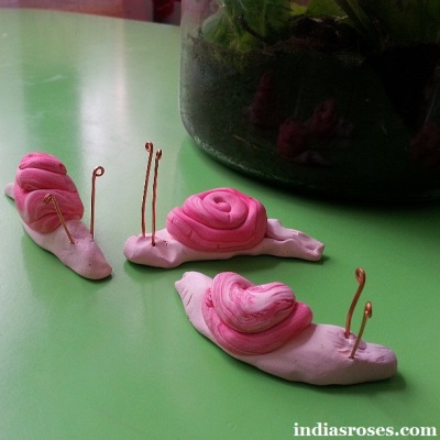 A weeks worth of snail activities for children: indiasroses.com